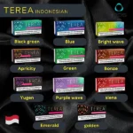 【16種多樣口味】亞版煙彈IQOS煙彈 ILUMA專用 三天到貨